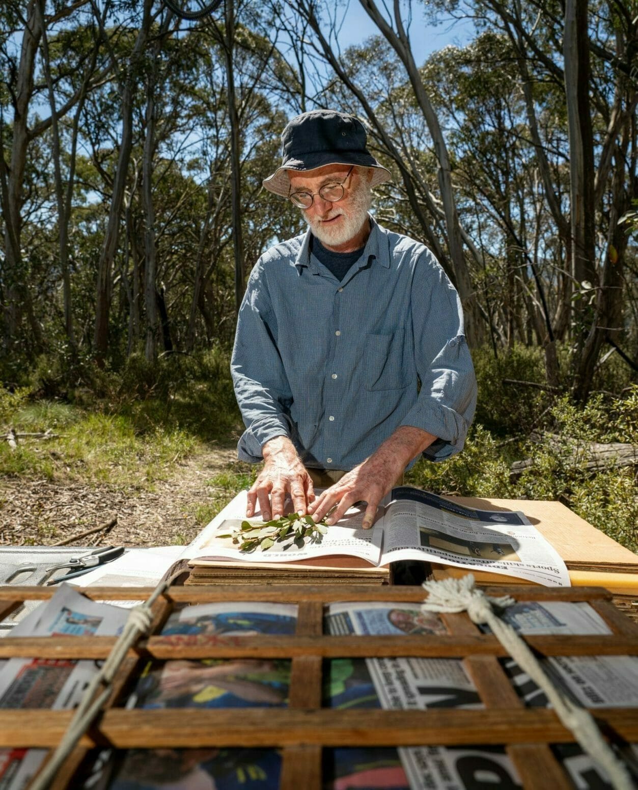 Pressing plants