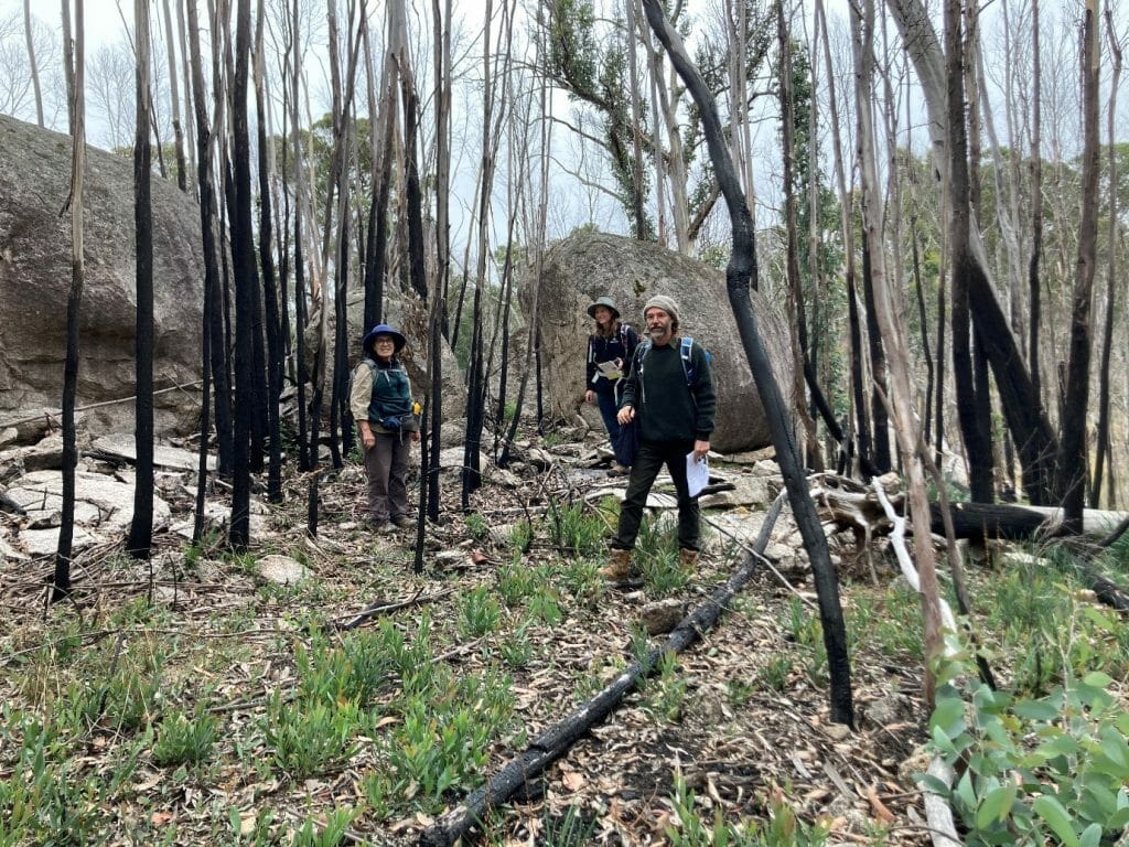 Collecting Namadgi National Park for Tranche 2 Project