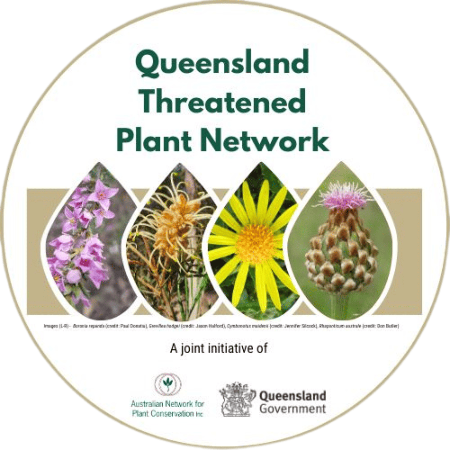 QTPN logo