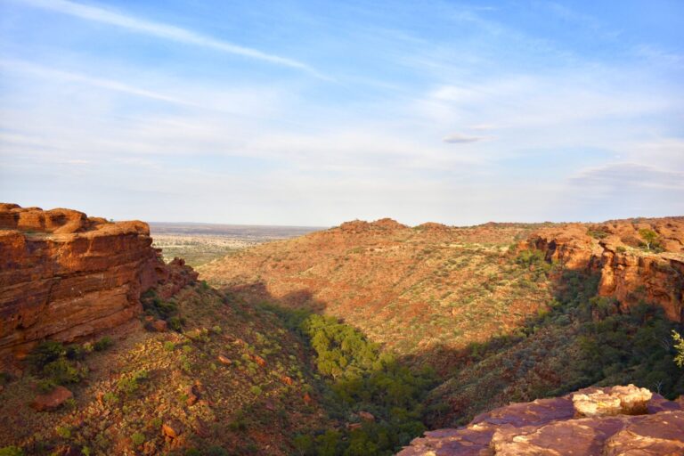 Kings Canyon landscape in Watarrka National Park, home to rare and unique plant species