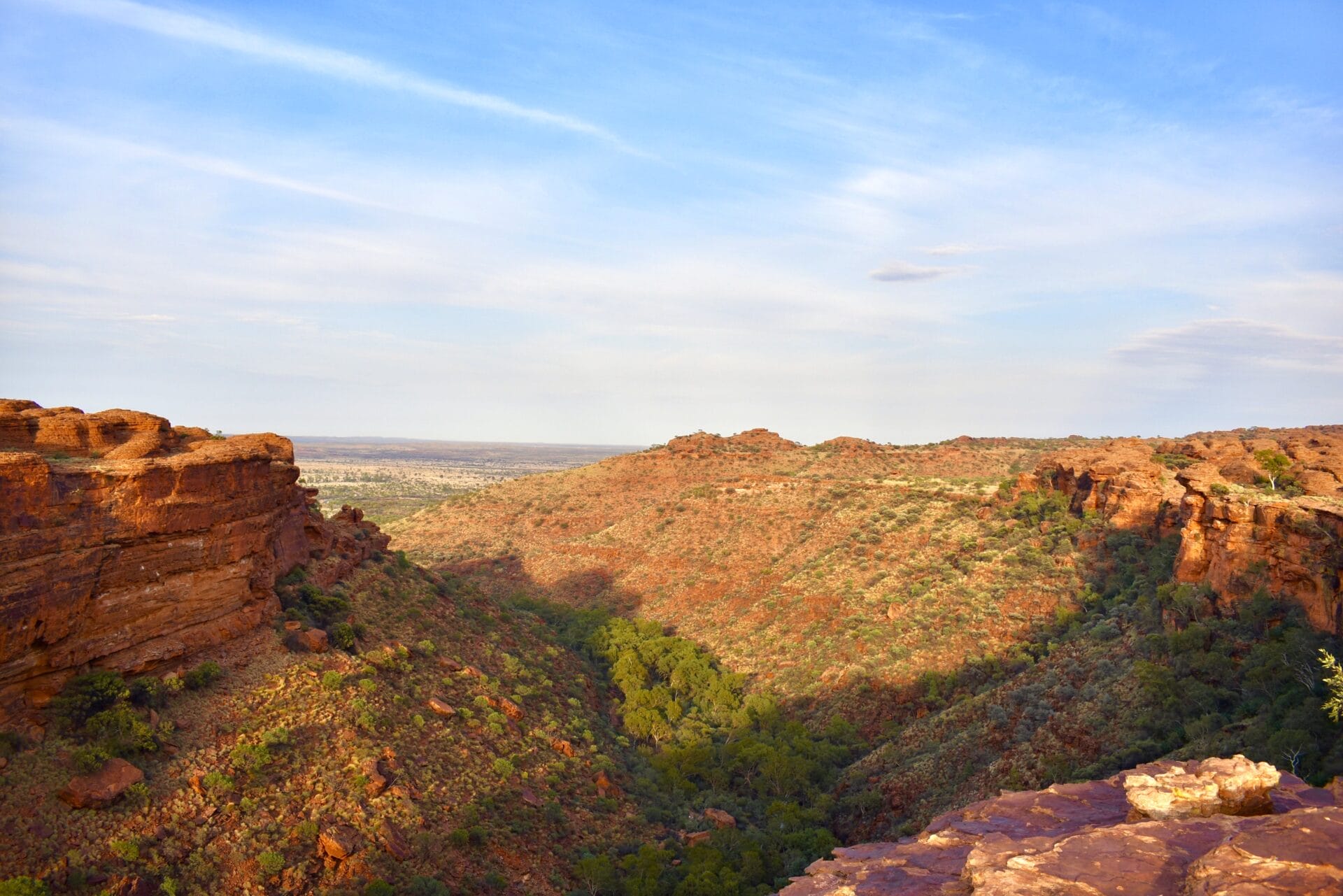 Kings Canyon landscape in Watarrka National Park, home to rare and unique plant species