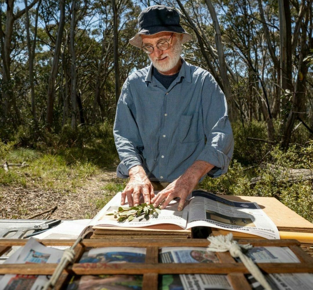 Pressing plants